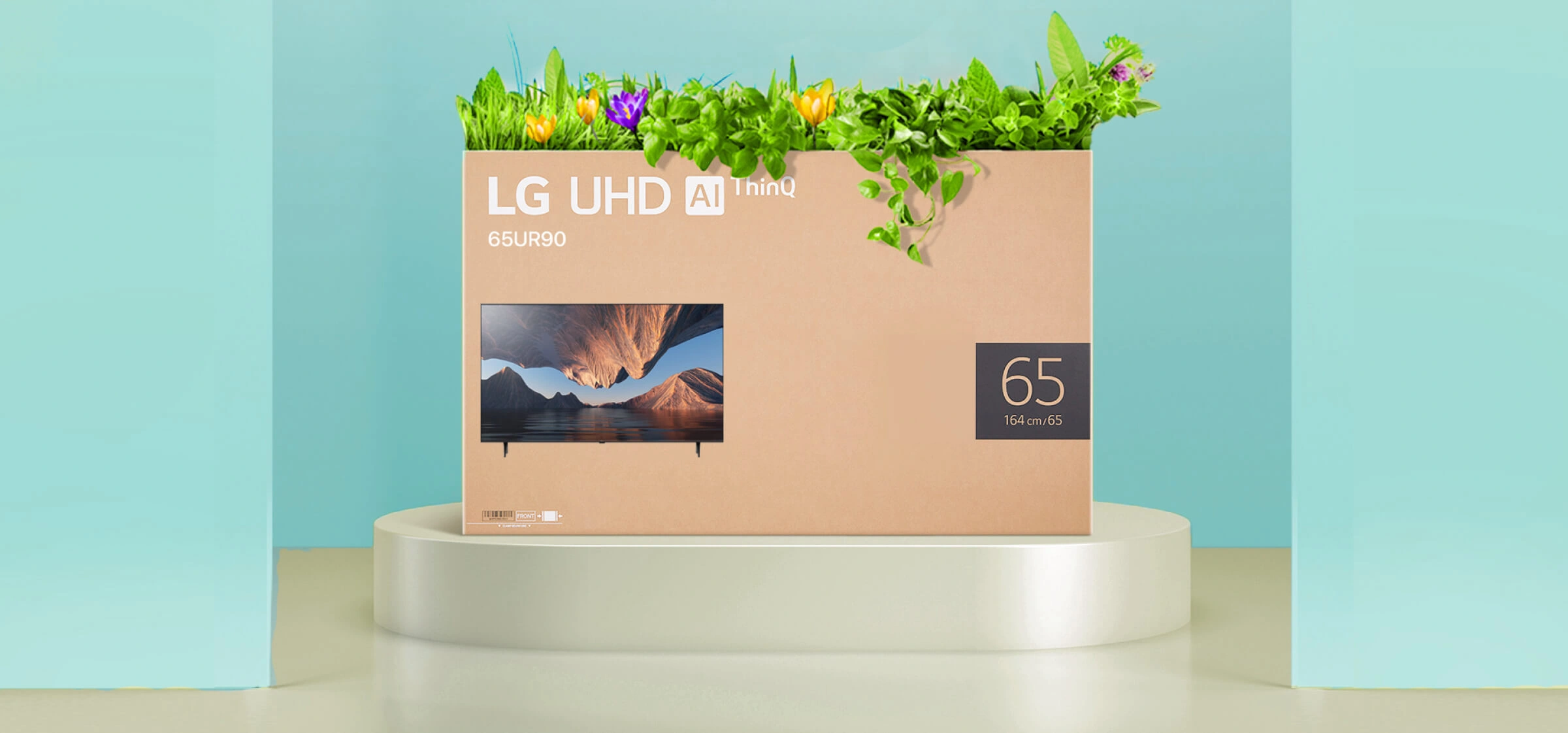 LG Smart Tv For Office Use